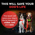 Load image into Gallery viewer, Dog leash safety advertisement
