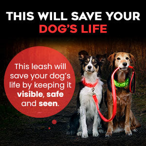 Dog leash safety advertisement