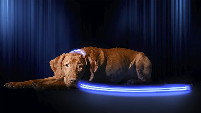 Luminous Lead™