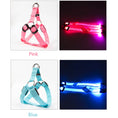 Load image into Gallery viewer, GlowGuard Led Harness
