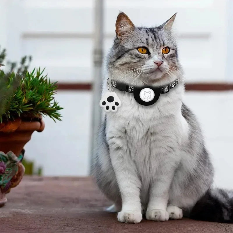 PET FINDER