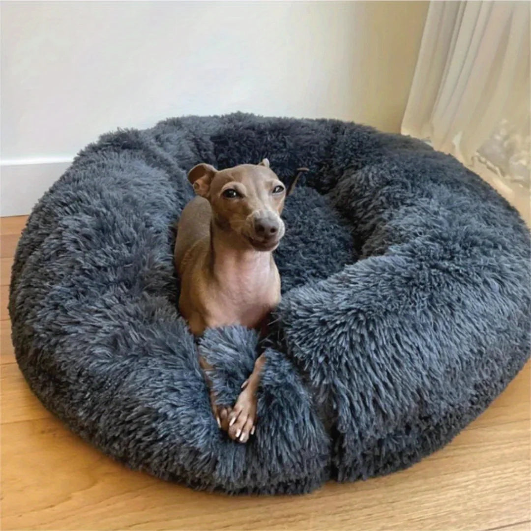 Pet Bed Regular