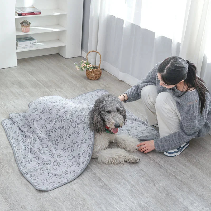 Pet Blacket