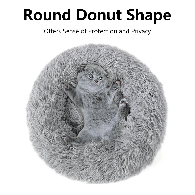 Pet Bed Regular