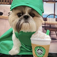 Load image into Gallery viewer, Barkista Brew
