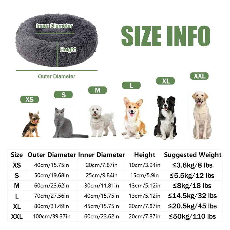 Pet Bed Regular