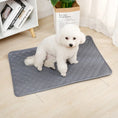 Load image into Gallery viewer, Pet Reusable Piss Mat
