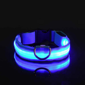 GlowPup Collar - Secondary Image