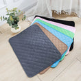 Load image into Gallery viewer, Pet Reusable Piss Mat
