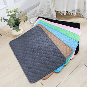 Pet Reusable Piss Mat - Secondary Image
