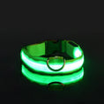 Load image into Gallery viewer, GlowPup Collar
