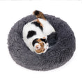 Load image into Gallery viewer, Pet Bed Regular
