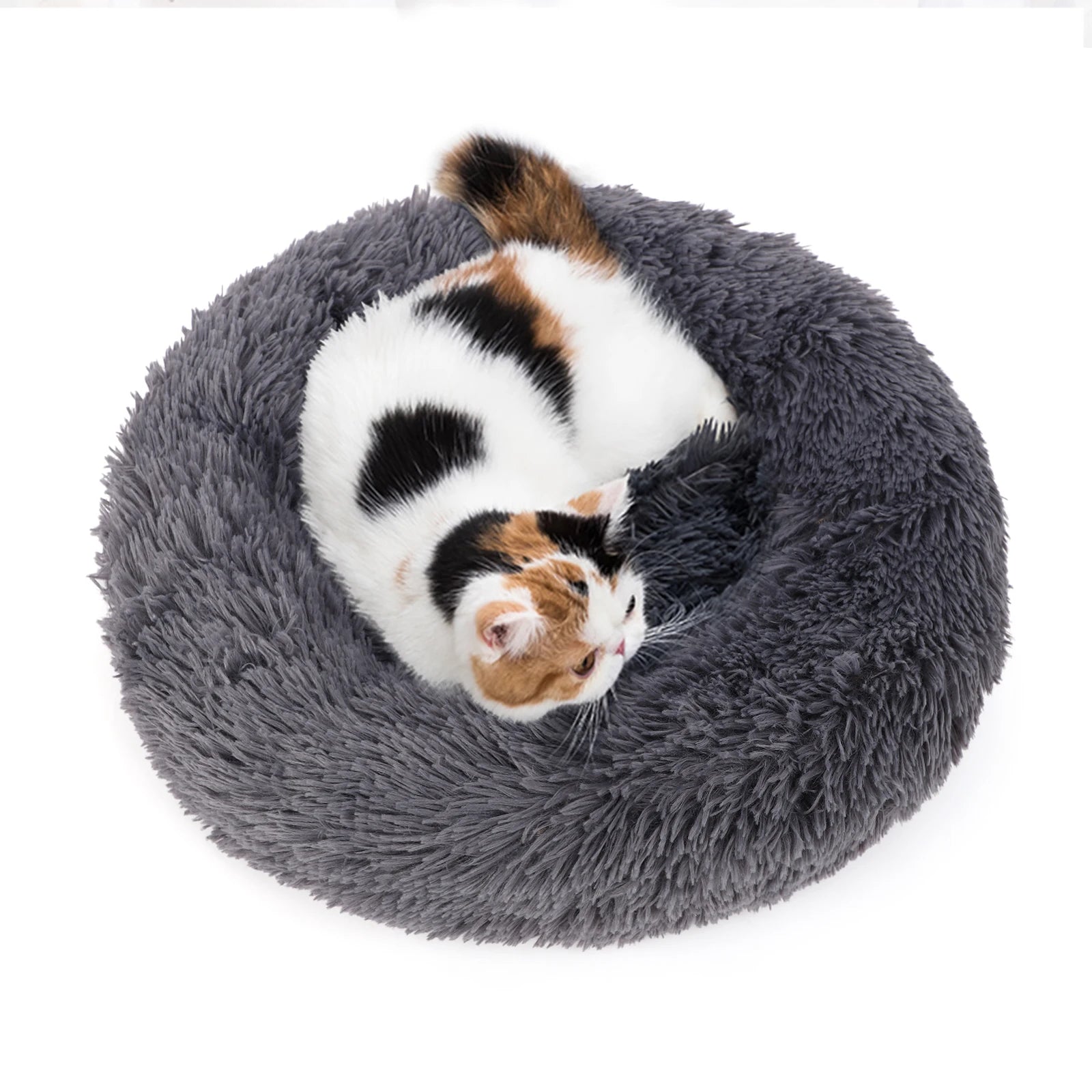 Pet Bed Regular