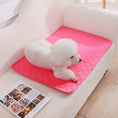 Load image into Gallery viewer, Pet Reusable Piss Mat
