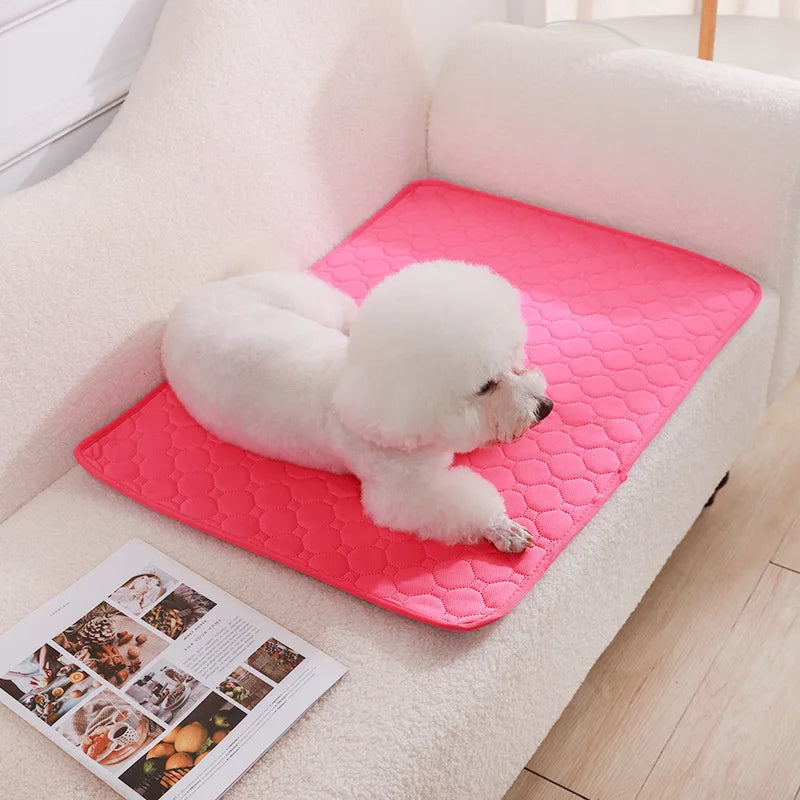 Pet Reusable Piss Mat