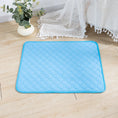 Load image into Gallery viewer, Pet Reusable Piss Mat
