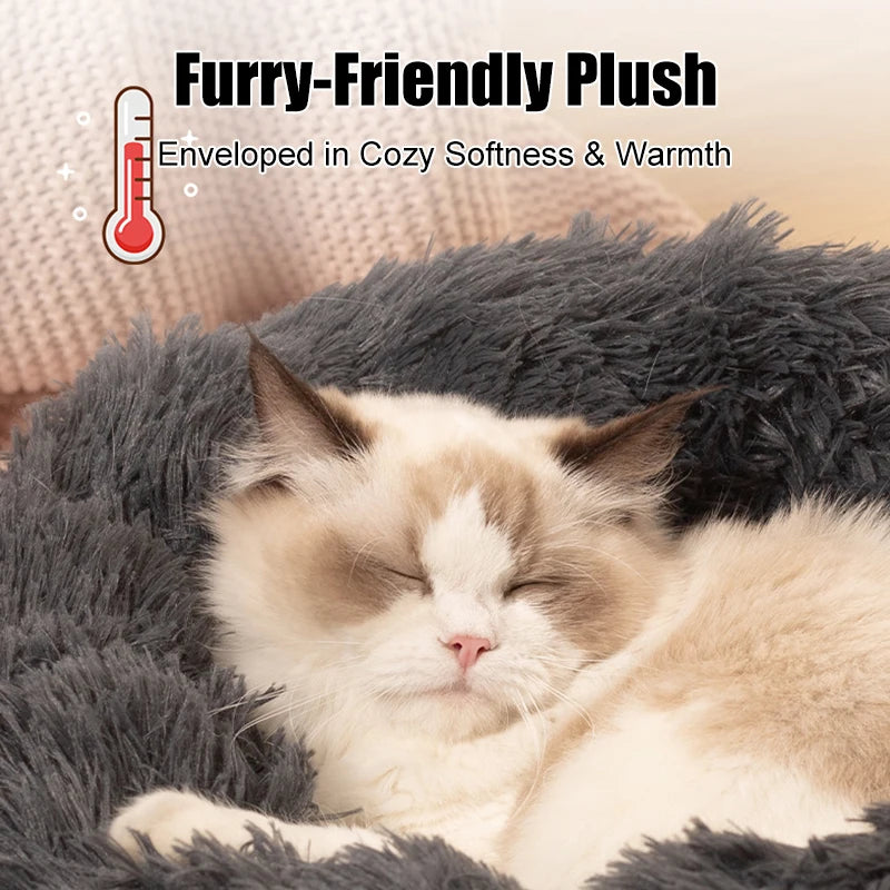 Pet Bed Regular