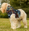 Load image into Gallery viewer, Pet Hoodie
