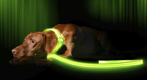 Luminous Lead™