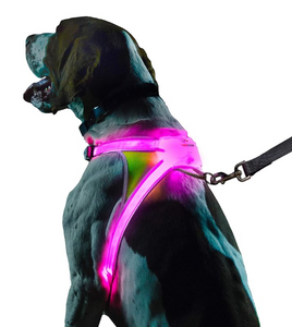 GlowGuard Led Harness