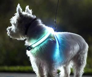 GlowGuard Led Harness - Secondary Image