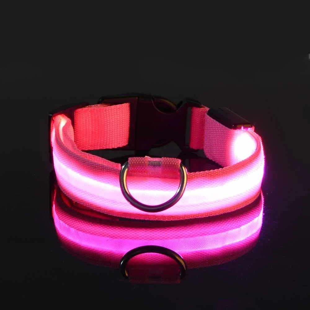 GlowPup Collar